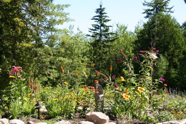 Butterfly Garden