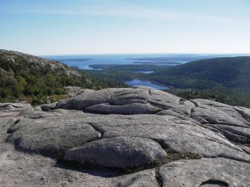 rocks
