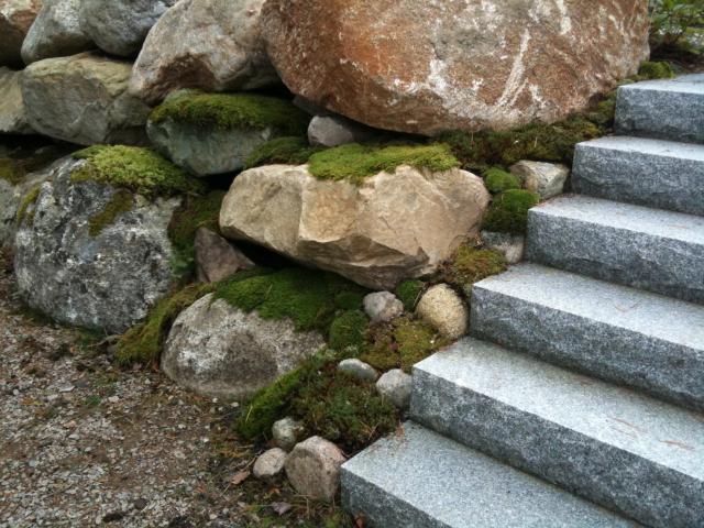 Moss